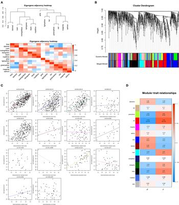 Pan-Cancer Analysis of Atrial-Fibrillation-Related Innate Immunity Gene ANXA4